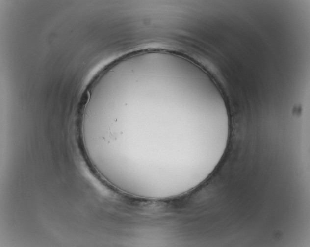 X0000113870991200910151256