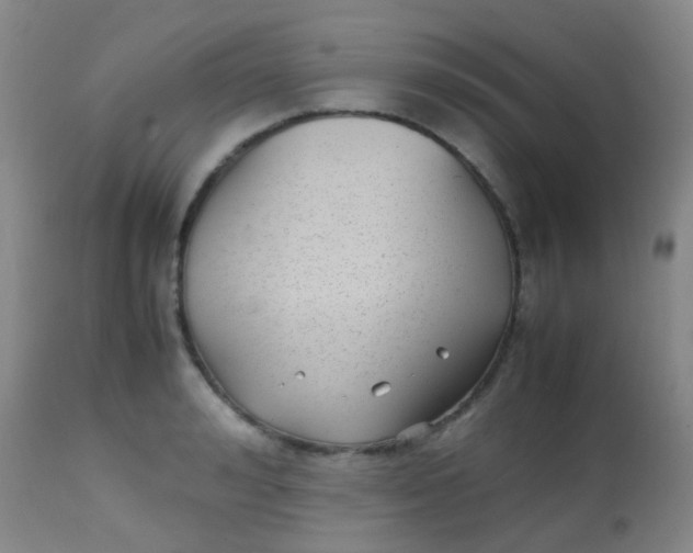 X0000113870992200910151256