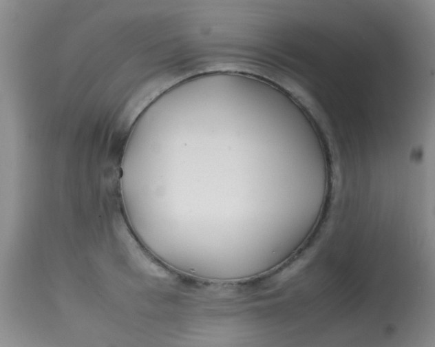 X0000113870993200910151256