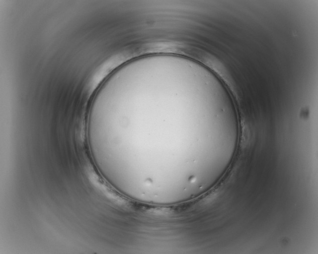 X0000113870994200910151256