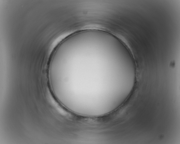 X0000113870995200910151256