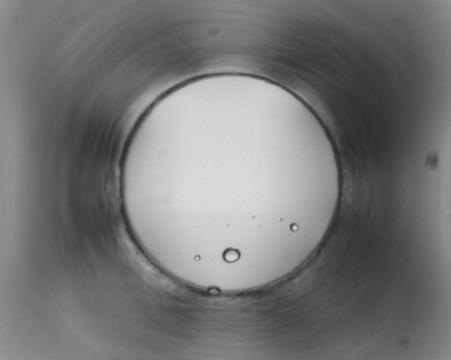 X0000113870996200910151256