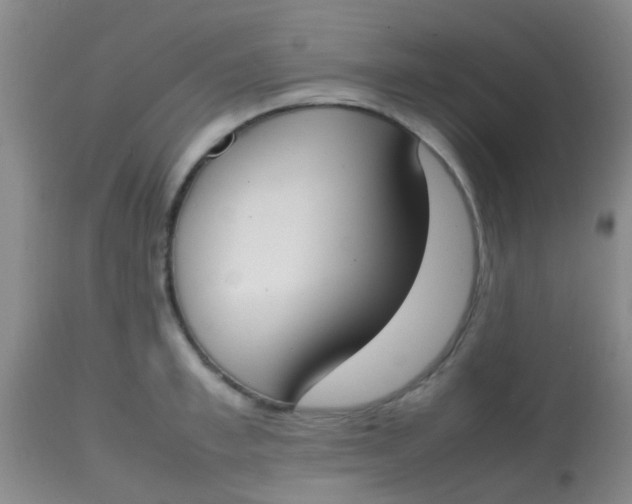 X0000113870997200910151256