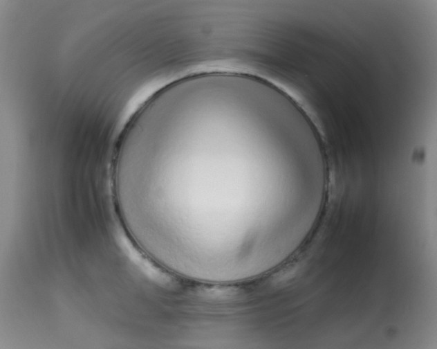 X0000113870998200910151256