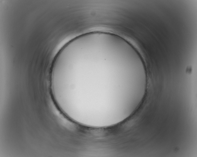 X0000113870999200910151256