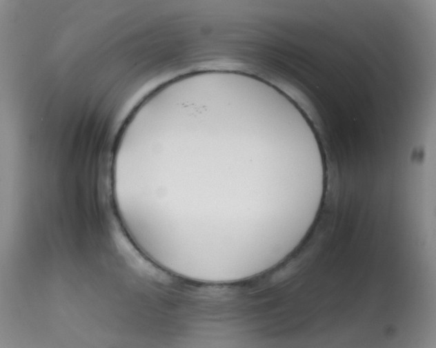 X0000113871000200910151256