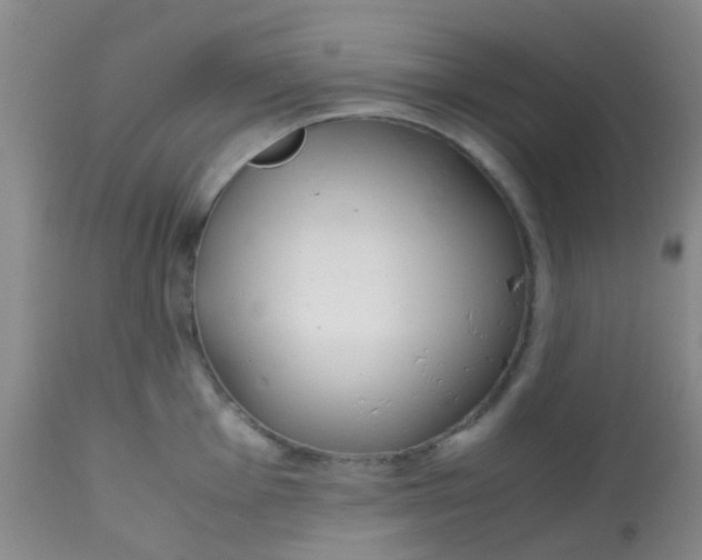 X0000113871001200910151256