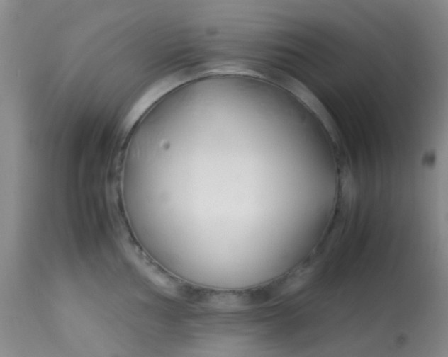 X0000113871002200910151256