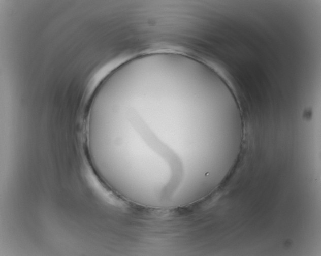 X0000113871003200910151256