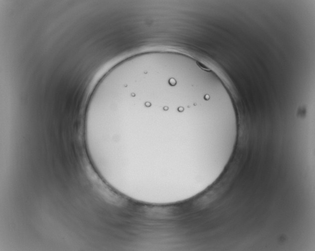 X0000113871004200910151256