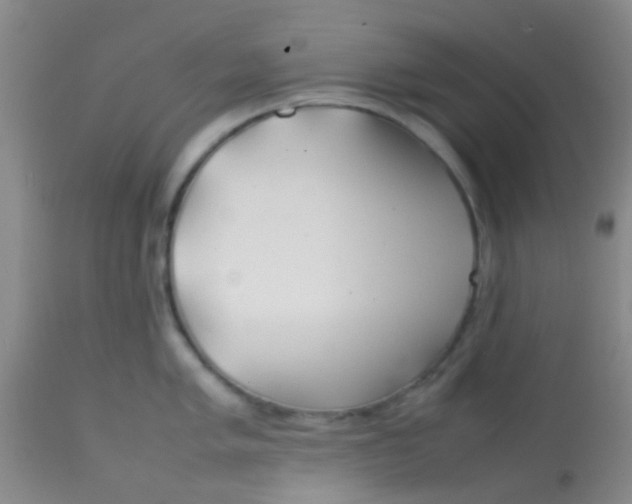 X0000113871005200910151256