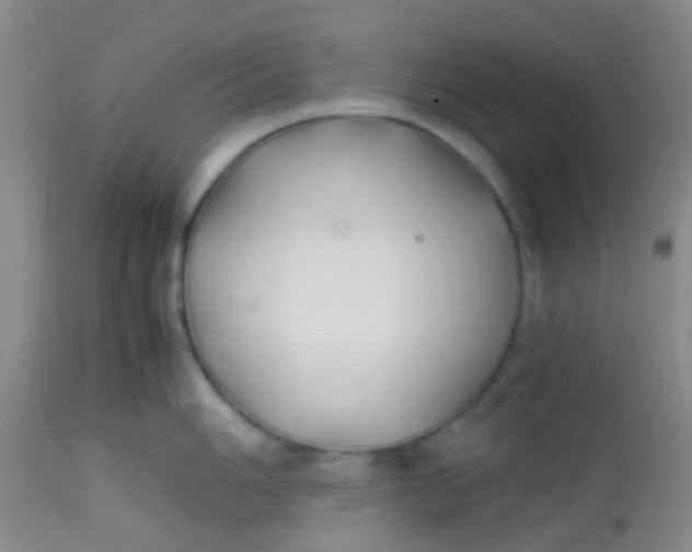 X0000113871006200910151256