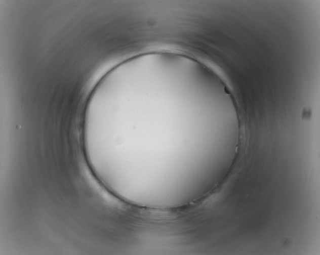 X0000113871007200910151256