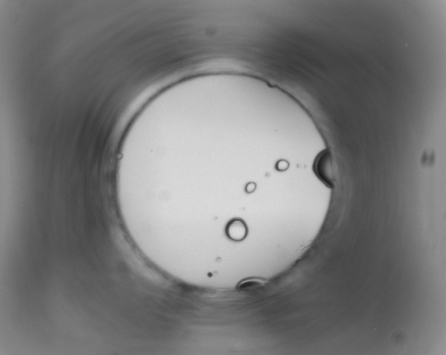 X0000113871008200910151255