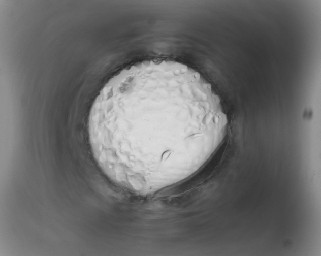 X0000113871009200910151255