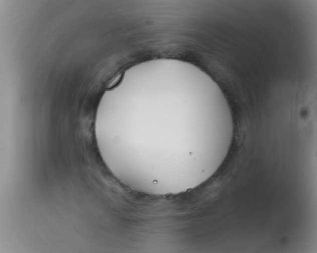 X0000113871010200910151255