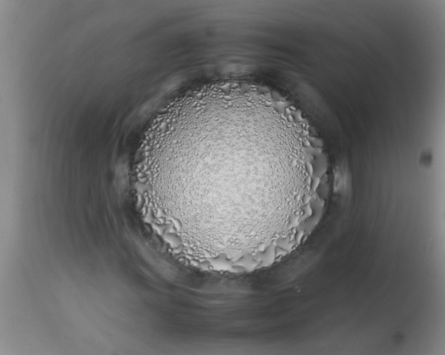 X0000113871011200910151255