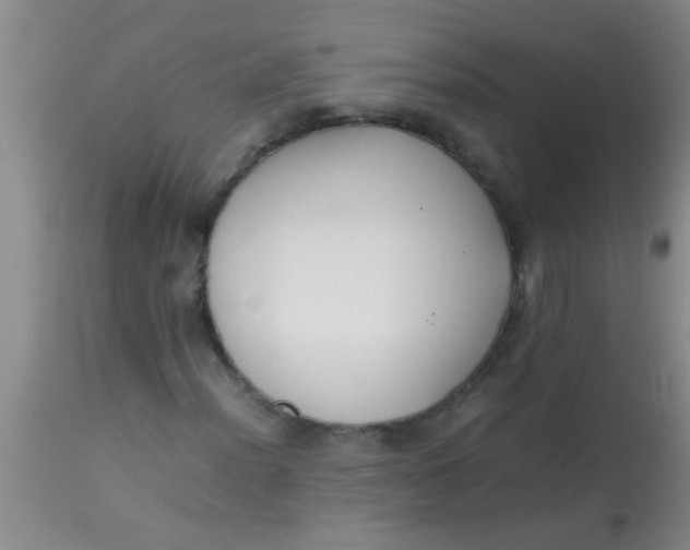 X0000113871012200910151255