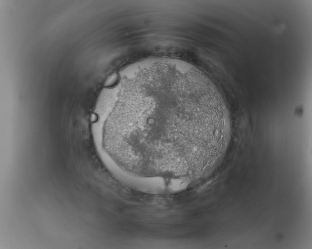 X0000113871013200910151255