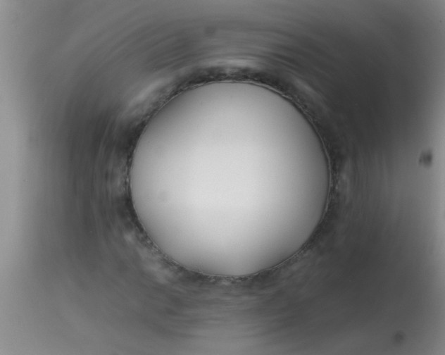 X0000113871014200910151255