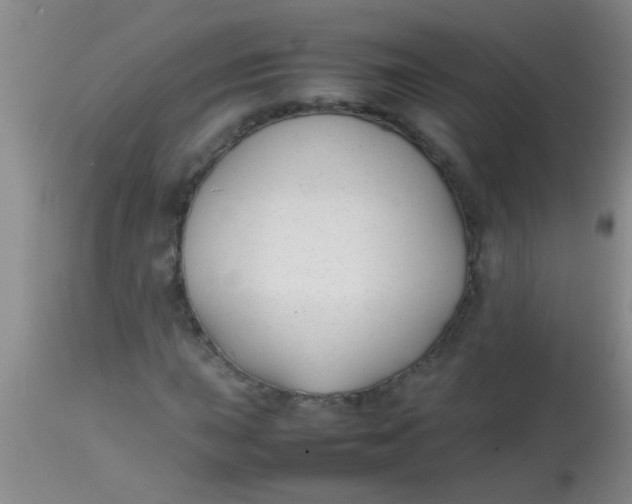 X0000113871015200910151255