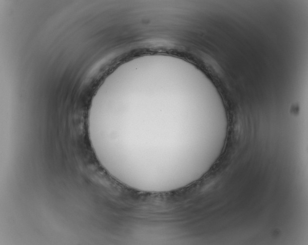 X0000113871016200910151255