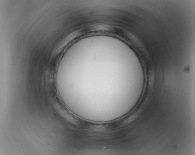 X0000113871017200910151255