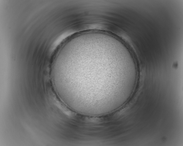 X0000113871019200910151255