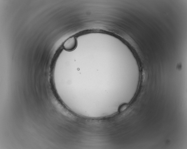 X0000113871020200910151255