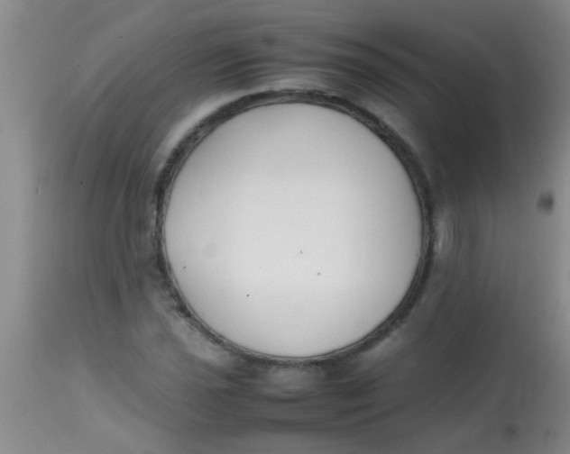 X0000113871021200910151255