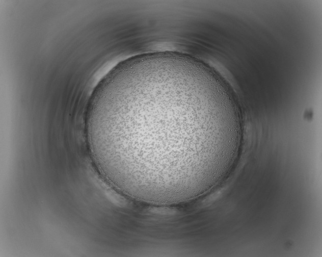 X0000113871023200910151255