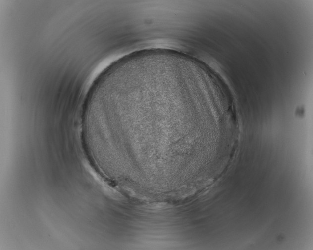 X0000113871024200910151255