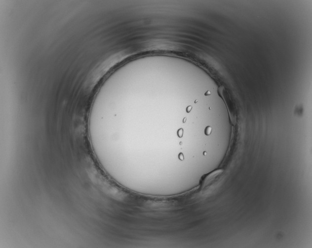 X0000113871025200910151255