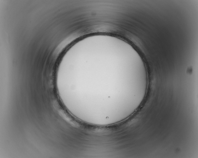 X0000113871026200910151255