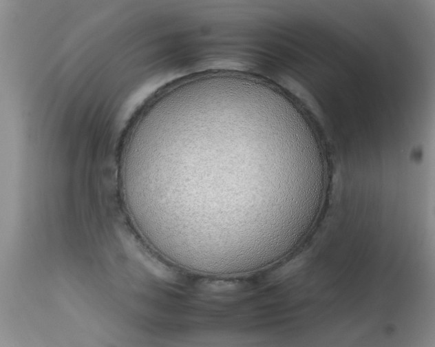 X0000113871027200910151255