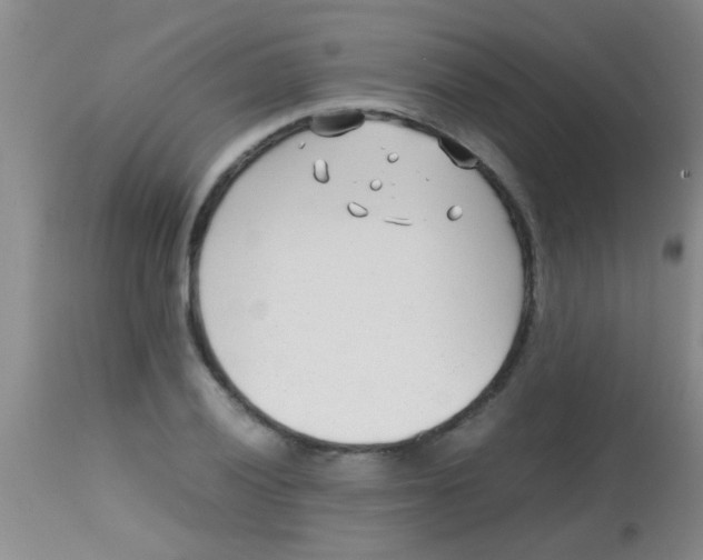 X0000113871028200910151255