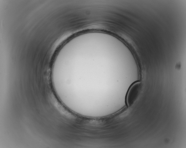 X0000113871029200910151255