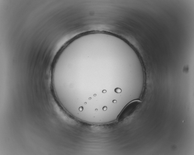 X0000113871032200910151255