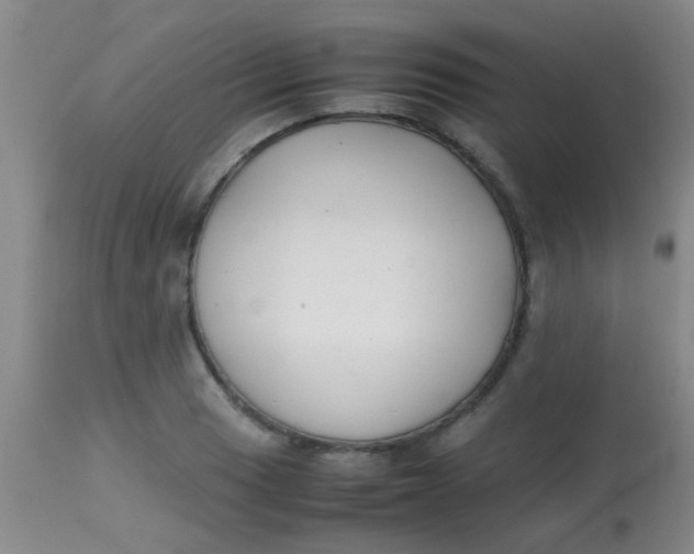 X0000113871033200910151255