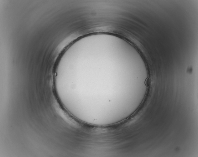 X0000113871034200910151255