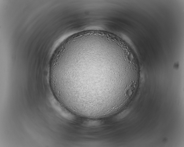 X0000113871035200910151255