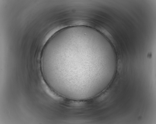 X0000113871039200910151255