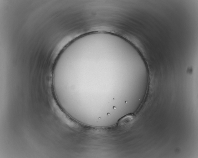 X0000113871040200910151255