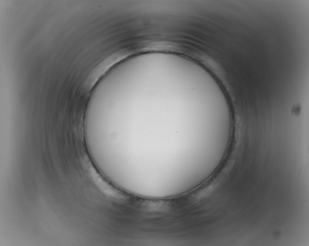 X0000113871041200910151255