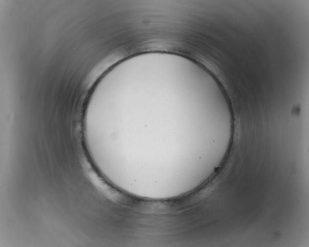 X0000113871042200910151255