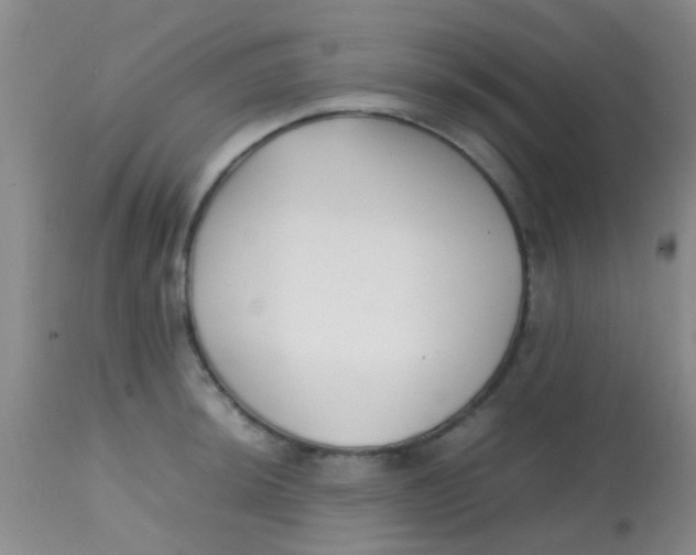 X0000113871044200910151255