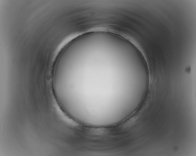 X0000113871045200910151255