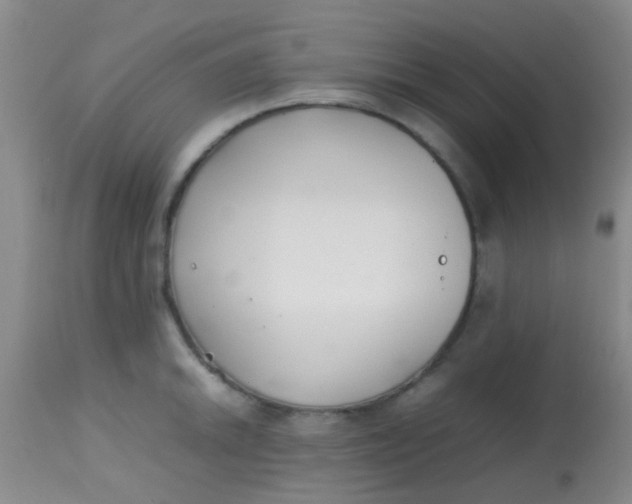 X0000113871046200910151255