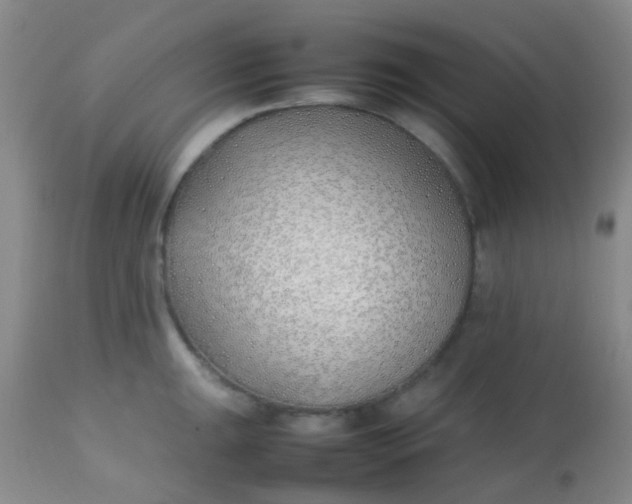 X0000113871047200910151255