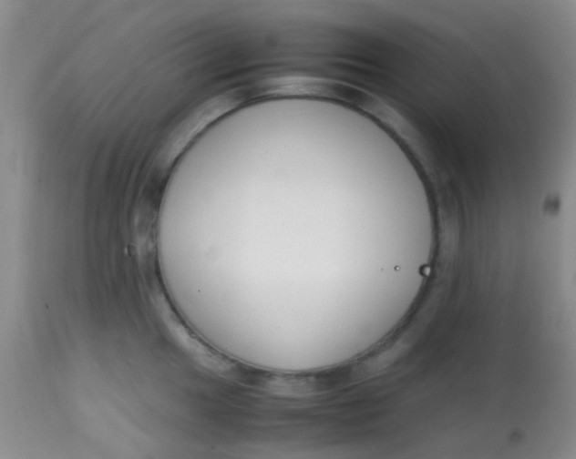 X0000113871049200910151255